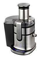 Соковыжималка универсальная RGV Industrial Juicer