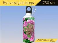 Бутылка фляга для воды "Гортензия метельчатая quick fire, кустарник, белый цветок темнорозовый" 750 мл. с карабином и принтом