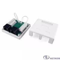 Hyperline SB1-2-8P8C-C5e-WH Розетка компьютерная RJ-45(8P8C), категория 5e, двойная, внешняя, Dual IDC