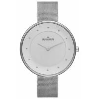 Skagen SKW2140