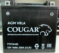 Аккумулятор мотоциклетный Cougar AGM YTX14-BS 12V 14Ah (залит и готов к применению)