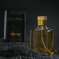 TODAY PARFUM Туалетная вода мужская Cross Baldess, 100 мл (по мотивам Ambre Baldessarini (Baldessarini)