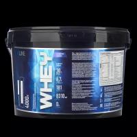 Вэй/WHEY R-line 4000 гр. (Шоколад-орех)