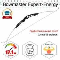 Лук турнирный классический Bowmaster Energy - Expert 68" 38#, Rh, черный