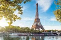 Фотообои Эйфелева башня в Париже 275x413 (ВхШ), бесшовные, флизелиновые, MasterFresok арт 4-193