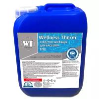 Wellness Therm Средство чистящее дезинфицирующее для бассейнов Wellness Therm (ГПХ) 10л 312804