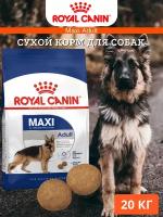 Сухой корм для собак Royal Canin Maxi Adult 20кг