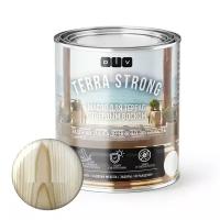 Масло для Террас с Твердым Воском DIV Terra Strong 2.7л Орегон BL-0031, Шелковисто-Матовое для Всех Видов Древесины