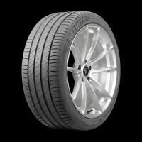 Шины 245/45 R18 Delinte DS2 100W