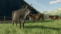 Farming Simulator 22 - Platinum Edition (Steam) (Steam; PC; Регион активации все страны)