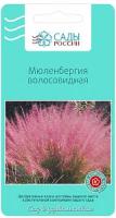Мюленбергия "Сады России" волосовидная 50шт