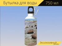 Бутылка фляга для воды "Окаменел, окаменелое дерево, опаловое дерево" 750 мл. с карабином и принтом