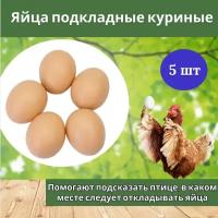 Комплект Яйцо подкладное куриное ( муляж) 5 штук