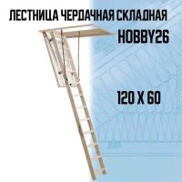 Лестница чердачная складная Dolle HOBBY 26 (60х120х285 см)