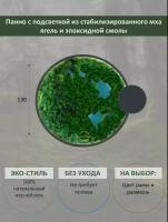 Круглое панно "Озера"GardenGo с подсветкой в рамке цвета антрацит, диаметр 130 см, цвет мха зеленый