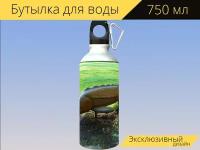 Бутылка фляга для воды "Осетр, рыбы, большой" 750 мл. с карабином и принтом