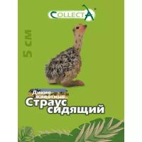 Фигурка животного Collecta Страусенок сидящий