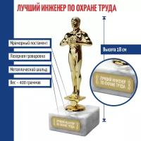 Подарки Статуэтка Фигура "Лучший инженер по охране труда" (18 см)