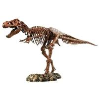 Набор для исследований Edu Toys VT026 Скелет динозавра T-Rex