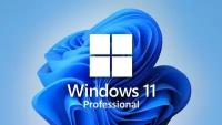 Ключ активации Windows 11 Pro x32/x64 OEM (бессрочная лицензия с привязкой к устройству)