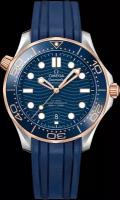 Наручные часы Omega Seamaster 21022422003002