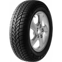 Автомобильная шина Maxxis WP-05 Arctic Trekker 205/45 R16 87T зимняя