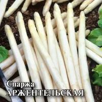 Семена Спаржа Аржентельская, 50г, Гавриш, Фермерское подворье