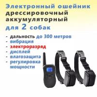 Электронный ошейник для дрессировки двух собак Petrainer PET998DR