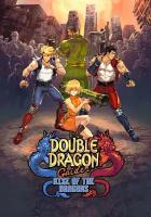 Double Dragon Gaiden: Rise Of The Dragons (Steam; PC; Регион активации Не для РФ)