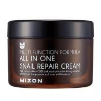 MIZON ALL IN ONE SNAIL REPAIR CREAM Крем для лица с муцином улитки 120мл