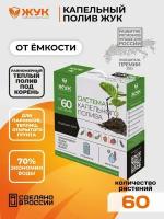 Набор Жук (Цикл) 60 кустов устройство капельного полива от ёмкости в теплице многолетнее