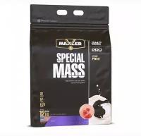 Special Mass Gainer 6lb, 11 порции(й), клубника