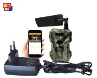 Фотоловушка 4G Филин Mod: HC-880 LTE-Pro-2K (Q23151HC8) для охраны загородного дома (оригинал) - фотоловушка для охоты, видео 2K, онлайн просмотр, обл