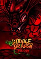 Double Dragon Trilogy (Steam; PC; Регион активации РФ, СНГ)