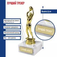 Подарки Статуэтка Баскетболист "Лучший тренер" на мраморном постаменте (15 см)