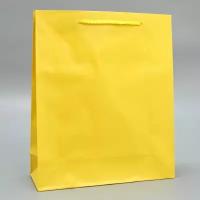 Пакет ламинированный "Жёлтый", ML 21 x 25 x 8 см
