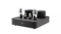 Усилители ламповые Fezz Audio Mira Ceti 300b MONO Power Amplifier EVO Black Ice