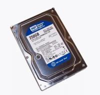 Жесткий диск внутренний HDD WD Western Digital Caviar Blue 7200 3.5 250Gb WD2500AAKX