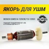 Якорь для УШМ BOSCH GWS14-125CIE/ 15-125CI (831VZ)