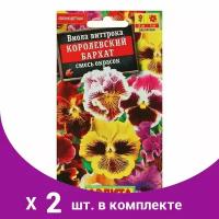 Семена цветов Фиалка 'Королевский бархат', смесь окрасок, Дв, 0,1 г (2 шт)