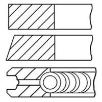 GOETZE 08-307600-00 (5623199 / 62920V0 / 630160) кольца dm.79.00 std [2-1.5-3] 1 пор