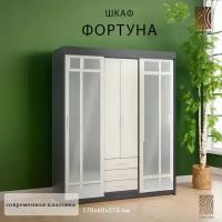 Шкаф-купе "Фортуна", Шкаф для одежды с зеркалом, 170х60х210 см, Интерьер-Центр