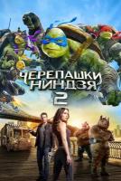 Черепашки-ниндзя 2 (2016)( DVD-R)