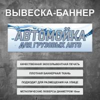 Вывеска баннер "Автомойка для грузовых авто" голубая, уличная рекламная вывеска (размер 100х35см)