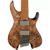 Электрогитара Ibanez QX527PB-ABS