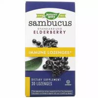 Nature&#x27;s Way, Sambucus Immune, Elderberry, Standardized, 30 Lozenges