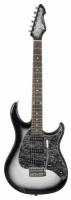 Электрогитара Peavey Raptor Custom SLB