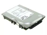 Жесткий диск Seagate Cheetah 10K.7 SCSI (73GB/10K/8MB/U320/80pin) ST373207LC