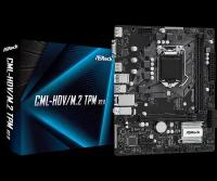 Материнская плата ASROCK CML-HDV/M.2 TPM R2.0, RTL