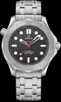 Наручные часы Omega Seamaster 21030422001002